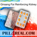 Ginseng For Reinforcing Kidney new13